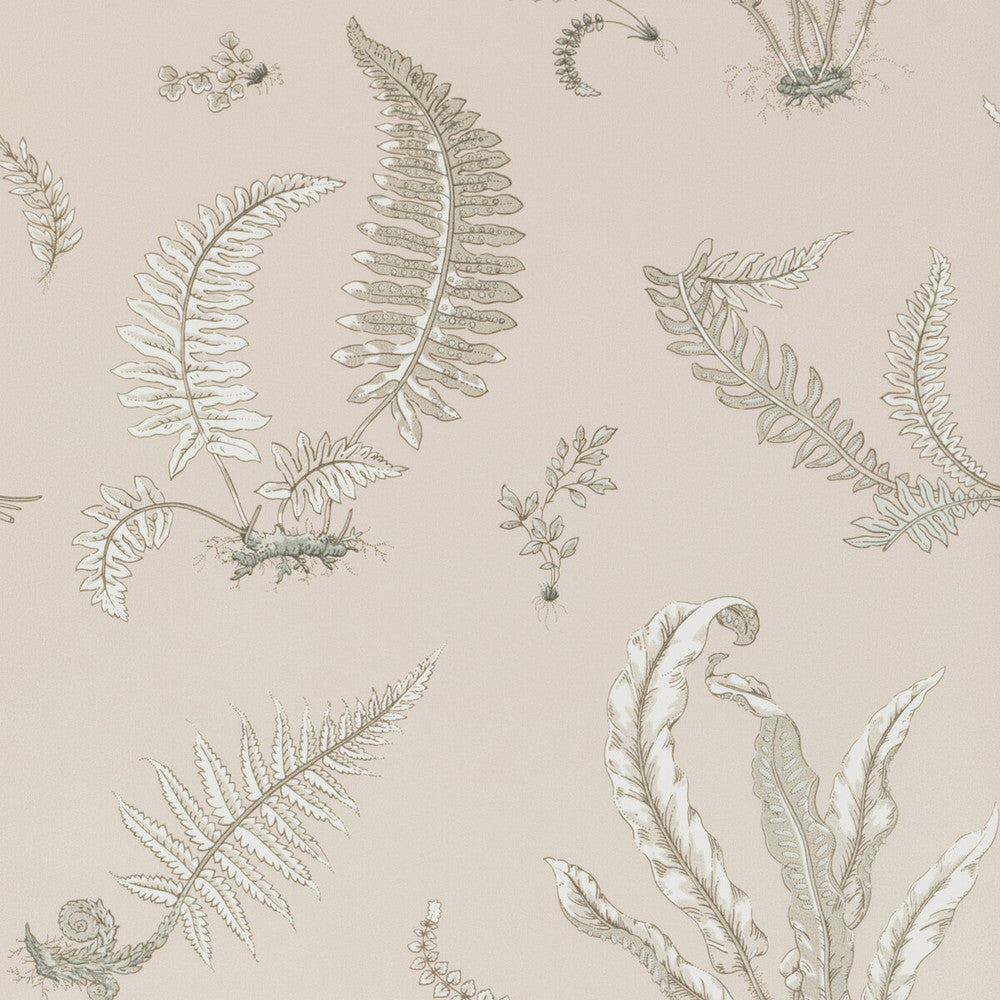Ferns Linen by G P & J Baker Designer Wallcovering SIGNATURE NON WOVEN - 100% United Kingdom Horizontal: 20.488 and Vertical: 20.882 20.488 - Swanky Fabrics -