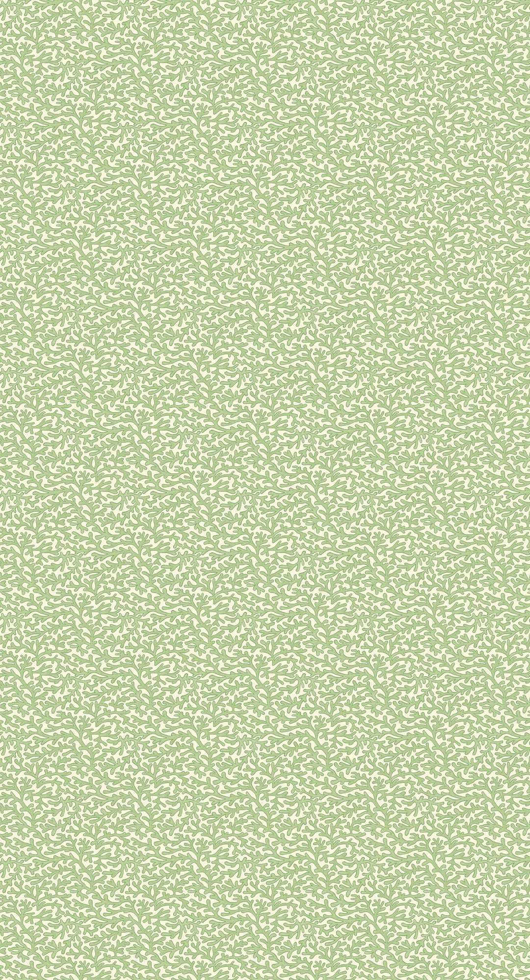 Tuffley - Green BW45153.7.0 by G P & J Baker Designer Wallcovering