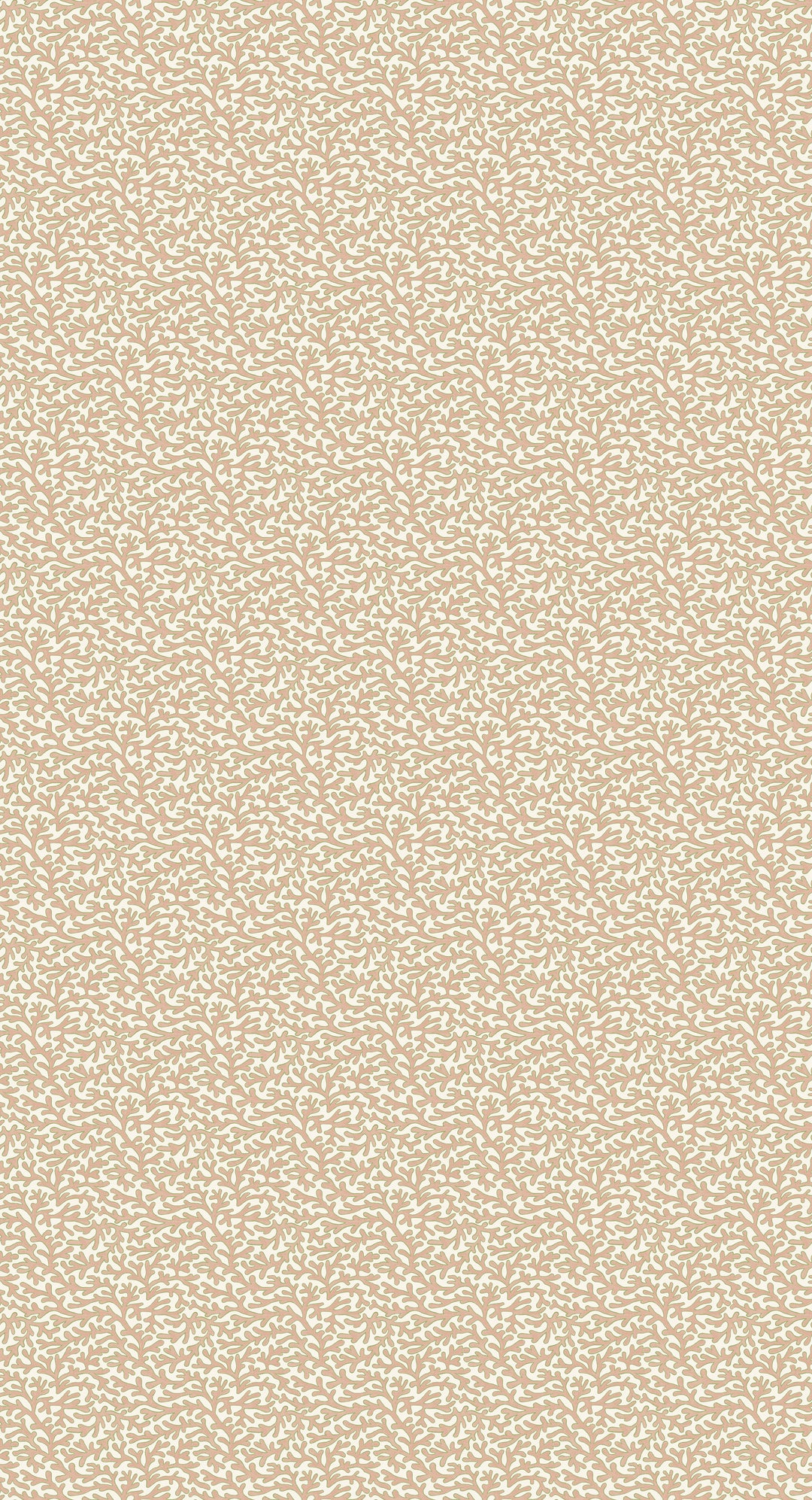 Tuffley - Blush BW45153.8.0 by G P & J Baker Designer Wallcovering