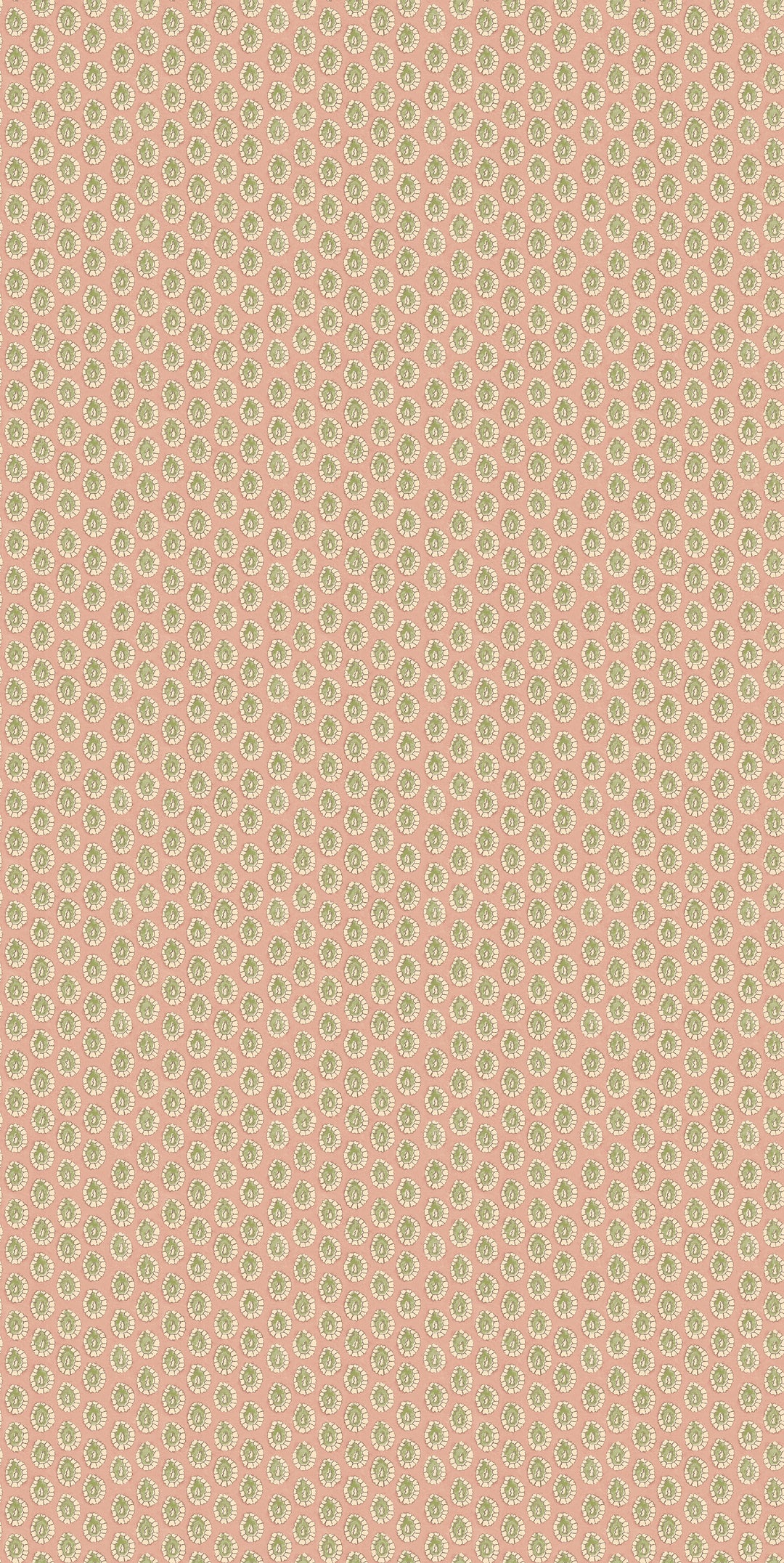 Dotty - Blush BW45157.3.0 by G P & J Baker Designer Wallcovering