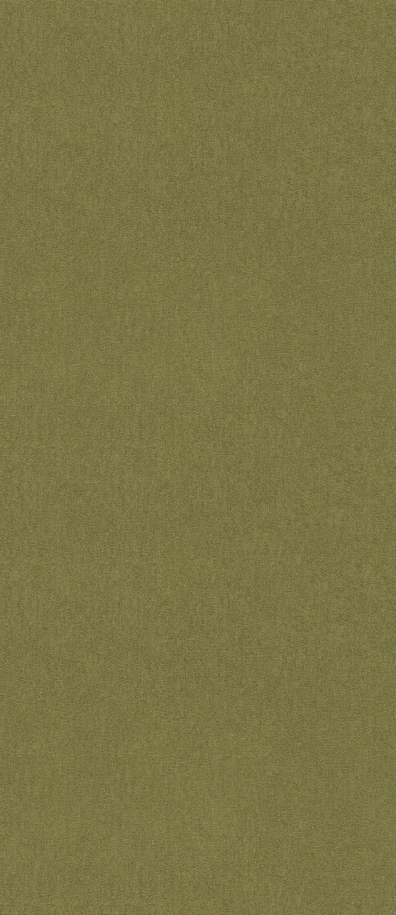 Cubby - Olive BW45168.730.0 by G P & J Baker Designer Wallcovering