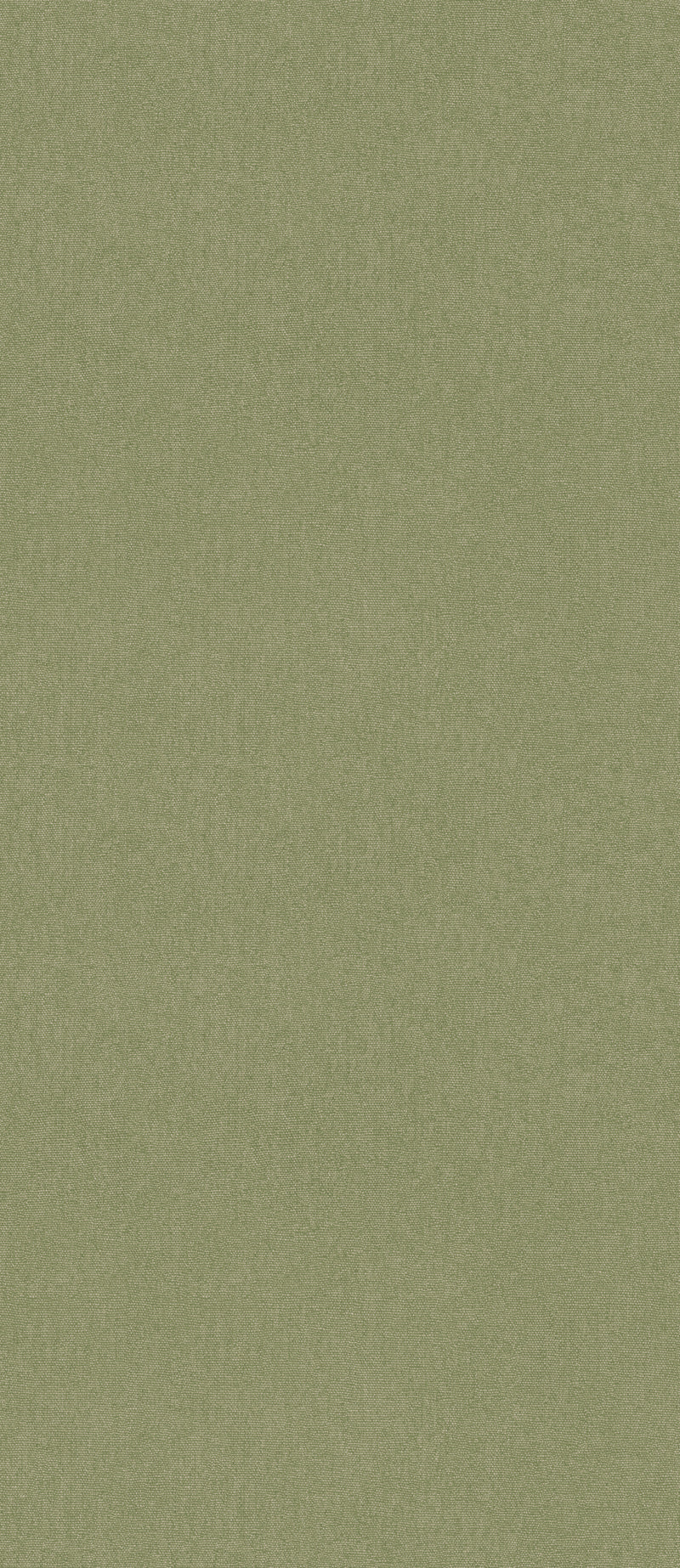 Cubby - Grass BW45168.736.0 by G P & J Baker Designer Wallcovering