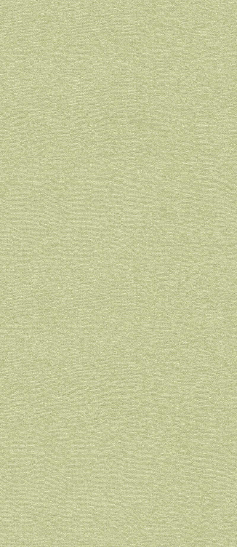Cubby - Cardamon BW45168.744.0 by G P & J Baker Designer Wallcovering