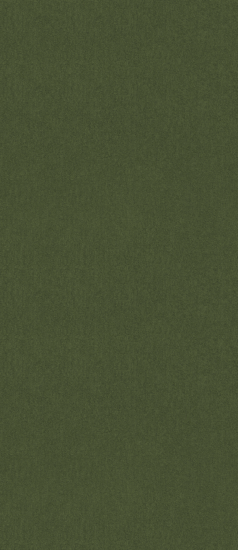 Cubby - Forest BW45168.794.0 by G P & J Baker Designer Wallcovering