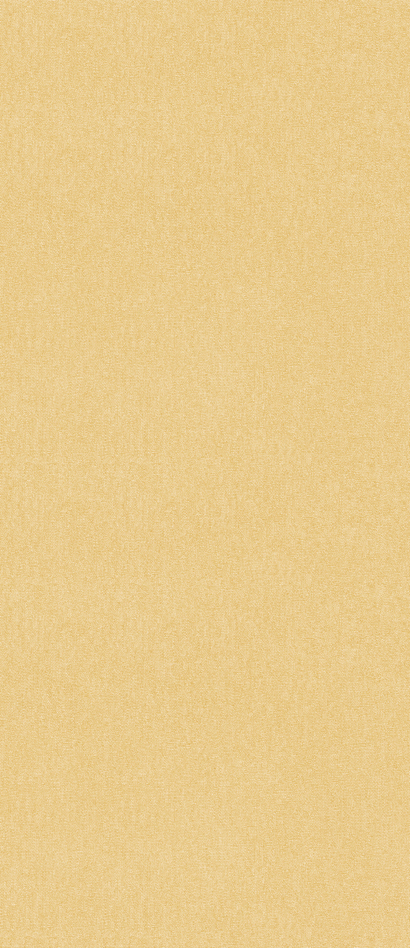 Cubby - Sunshine BW45168.810.0 by G P & J Baker Designer Wallcovering