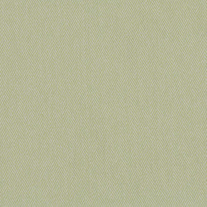 Beachy Keen # 1004 Pistachio by Maxwell Designer Fabric