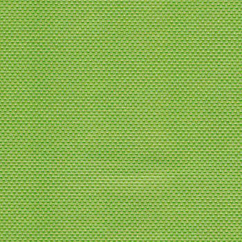 Ballistic Grass BAL-0005 by Spradling Designer Fabric our website for purchase 100% Polyurethane USA or Asia Water-based cleaning agents and foam may be used for cleaning. This fabric may also be cleaned with mild, water-free solvents. Cleaning by a professional cleaning service is recommended. Horizontal: - and Vertical: - 54" - Swanky Fabrics -