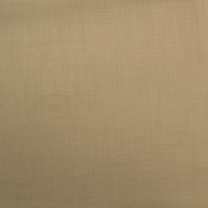 Barry Stone by Europatex Designer Fabric Barry 100% Cotton 0.00" 55.00 inches - Swanky Fabrics -