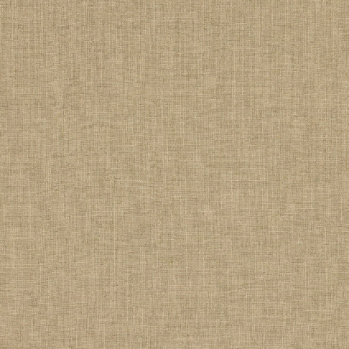 Biancheria Linen by Europatex Designer Fabric Biancheria 70% Linen, 16% Rayon, 14% Polyester 0.00" 56.00 inches - Swanky Fabrics -