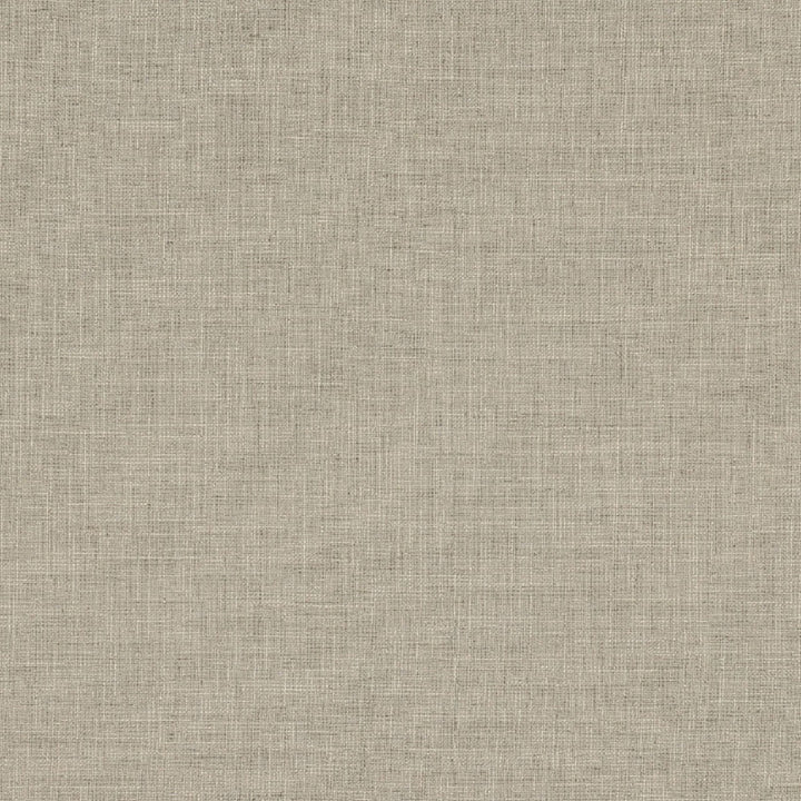 Biancheria Stone by Europatex Designer Fabric Biancheria 70% Linen, 16% Rayon, 14% Polyester 0.00" 56.00 inches - Swanky Fabrics -