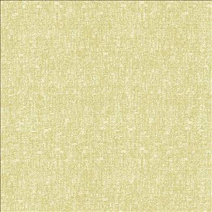 Blake Citrus by Kasmir Designer Fabric