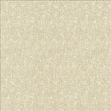 Blake Classic by Kasmir Designer Fabric