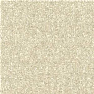 Blake Classic by Kasmir Designer Fabric