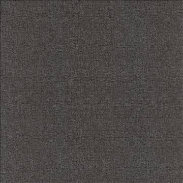 Blake Coal by Kasmir Designer Fabric