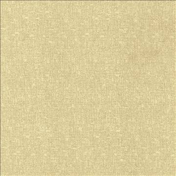 Blake Conch by Kasmir Designer Fabric