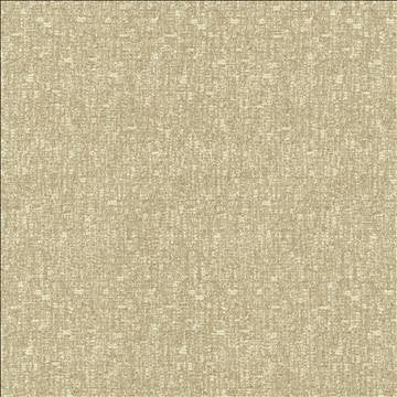Blake Halo by Kasmir Designer Fabric