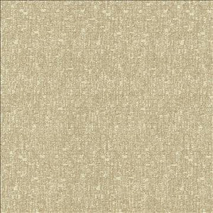 Blake Halo by Kasmir Designer Fabric