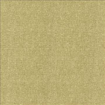 Blake Parsley by Kasmir Designer Fabric