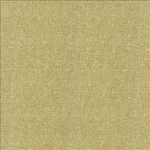 Blake Parsley by Kasmir Designer Fabric