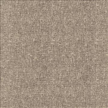 Blake Silverberry by Kasmir Designer Fabric