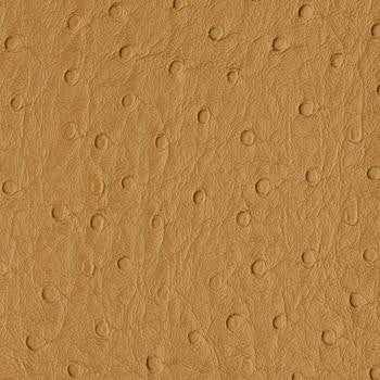 Bondi Butterscotch PBO-006 by Nassimi Designer Fabric our website for purchase 100% Vinyl USA or Asia Water-based cleaning agents and foam may be used for cleaning. This fabric may also be cleaned with mild, water-free solvents. Cleaning by a professional cleaning service is recommended. Horizontal: - and Vertical: - 54" - Swanky Fabrics -