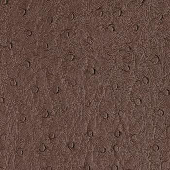 Bondi Espresso PBO-007 by Nassimi Designer Fabric See sample 100% Vinyl USA or Imported Water-based cleaning agents and foam may be used for cleaning. Cleaning by a professional cleaning service is recommended.  54  - Swanky Fabrics -