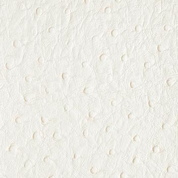 Bondi White Heron PBO-005 by Nassimi Designer Fabric See sample 100% Vinyl USA or Imported Water-based cleaning agents and foam may be used for cleaning. Cleaning by a professional cleaning service is recommended. </p><p>Repeat: Horizontal: and Vertical: 54" - Swanky Fabrics -