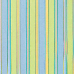5602 Bravada Limelite by Sunbrella Designer Fabric