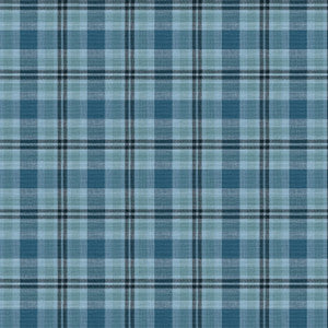 Cabana 1 Lake by Aoc Designer Fabric