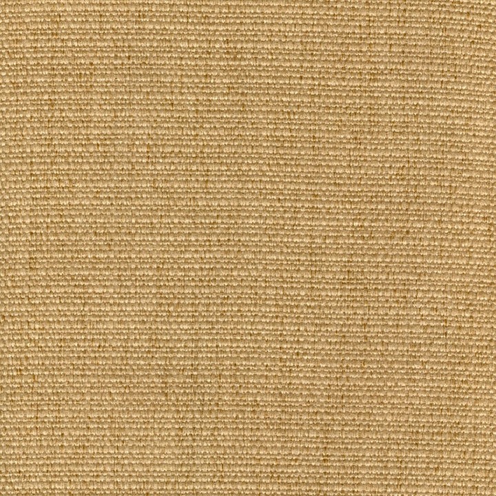 Cachay Gold by Magnolia Designer Fabric - 100% Poly China 50000 Horizontal: 0 and Vertical: 0 55" - Swanky Fabrics -