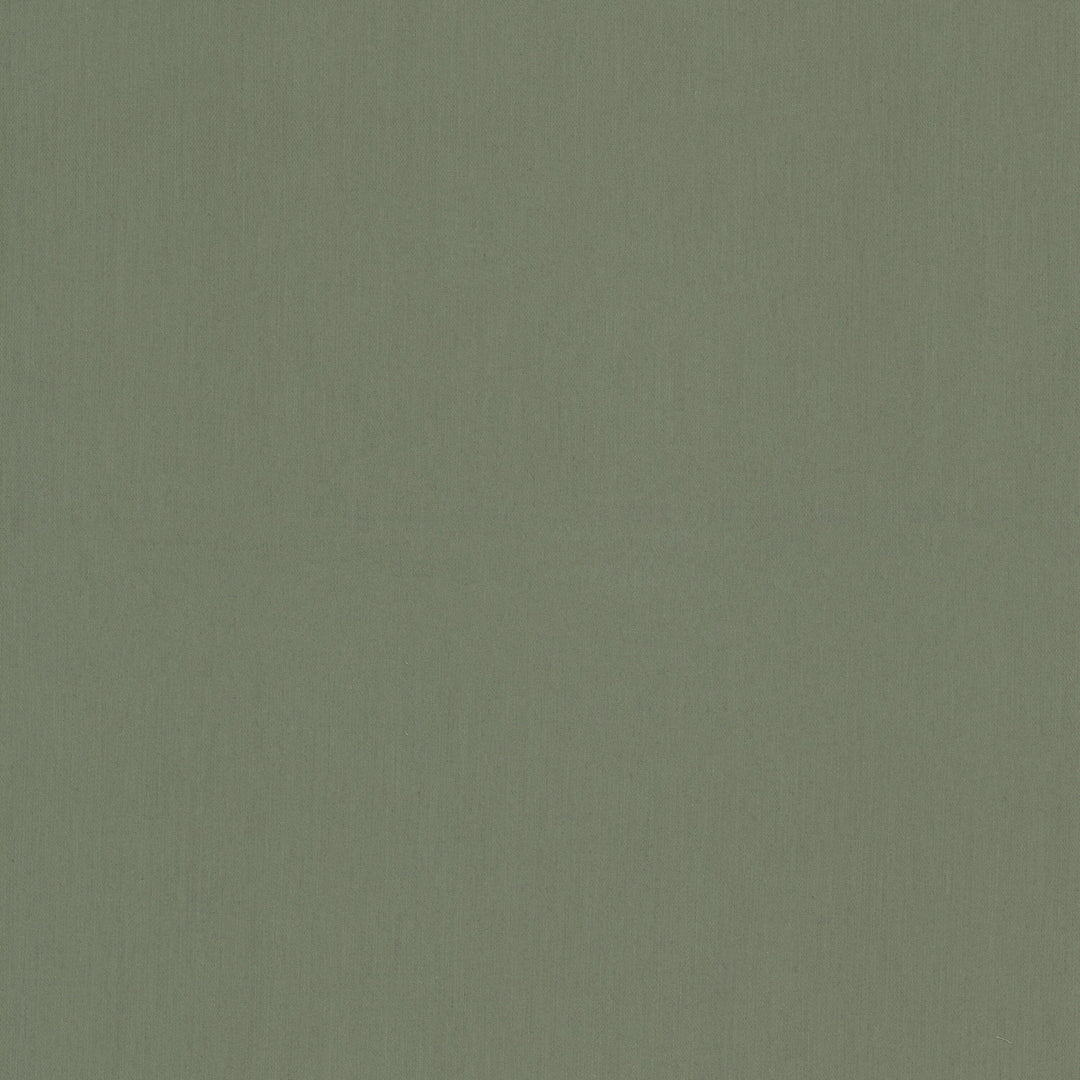 Caldwell 1 Sage by Stout Designer Fabric