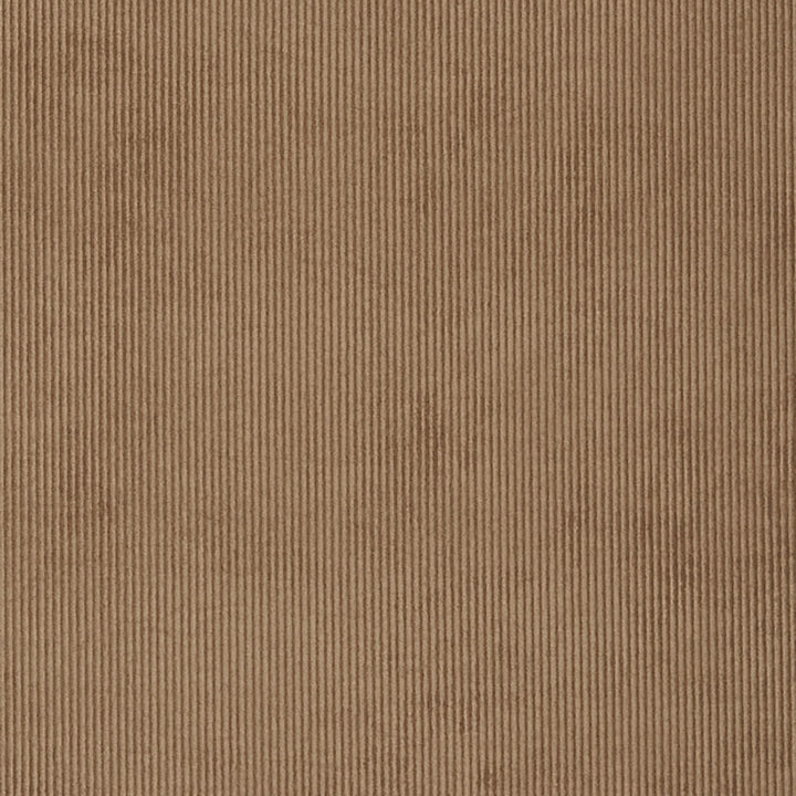 Campbell 34J7031 by JF Crypton Designer Fabric Crypton Binder 100% Polyester China 50000 Horizontal: and Vertical: 54 - Swanky Fabrics -