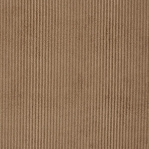 Campbell 34J7031 by JF Crypton Designer Fabric