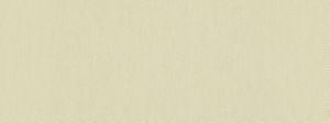 Campo Natural 11 by Norbar Designer Fabric