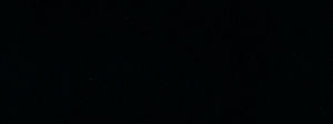 Campo Noir 947 by Norbar Designer Fabric