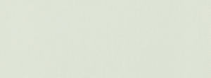Campo White 130 by Norbar Designer Fabric CAMPO 100% COTTON INDIA 54" - Swanky Fabrics -