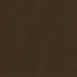 Capital Earth 86 by Norbar Designer Fabric