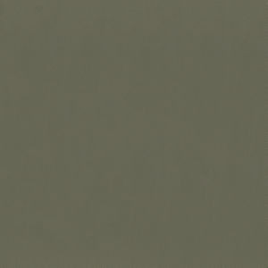 Capital Mocha 802 by Norbar Designer Fabric