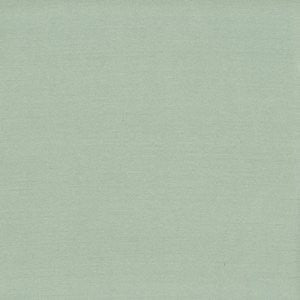 Caprio Eucalyptus by Norbar Designer Fabric