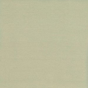Caprio Honeydew by Norbar Designer Fabric 100% POLYESTER INDIA 54 - Swanky Fabrics -