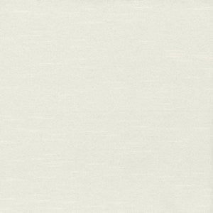 Caprio Oyster by Norbar Designer Fabric 100% POLYESTER INDIA 54 - Swanky Fabrics -