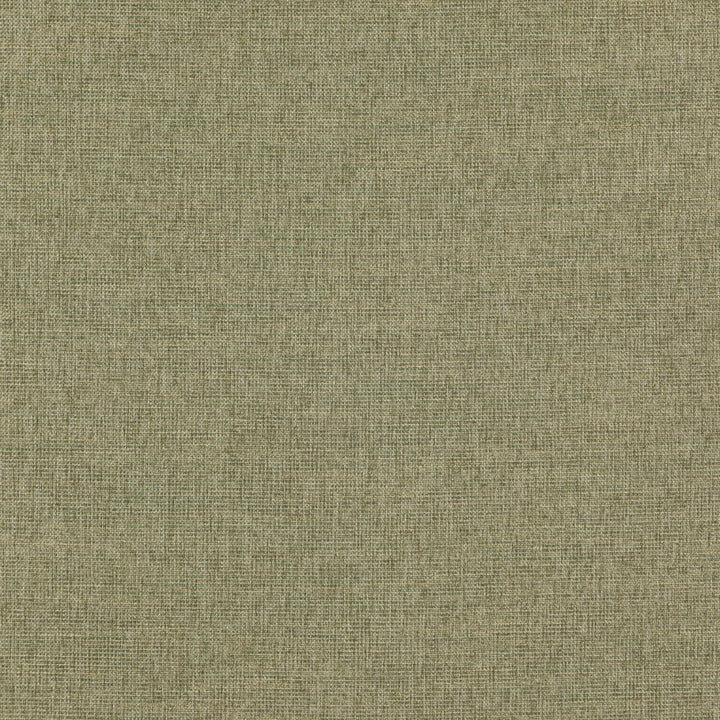 CAPTAIN 75J7351 by JF Designer Fabric Winning Weaves VI - Woven Book 85% Polyester, 15% Viscose India  Horizontal:  and Vertical:  57  - Swanky Fabrics -