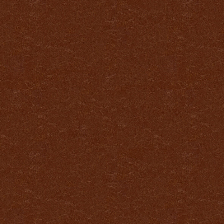 Captured Cappucio by Kravet Couture Designer Fabric - NYLON - 100% United States HEAVY Horizontal: - and Vertical: - 54 - Swanky Fabrics -