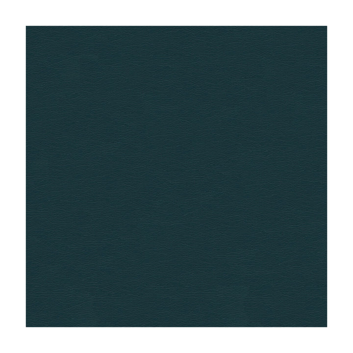 Cara-5 by Kravet Design Designer Fabric POLYURETHANE - 100% Japan HEAVY Horizontal: and Vertical: 54 - Swanky Fabrics -