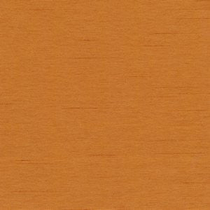 Cargo Pumpkin by Norbar Designer Fabric