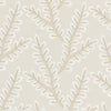 Caribe 1 Bisque by Stout Designer Fabric