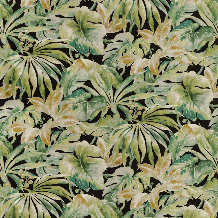 Kravet Basics Carles-830 by Kravet Basics Fabric Kravet Basics Fabric Kravet Basics Carles-830Fabric COTTON - 100% Peru </p><p>Repeat: H: 27, V: 36 54 - Fabric Carolina -