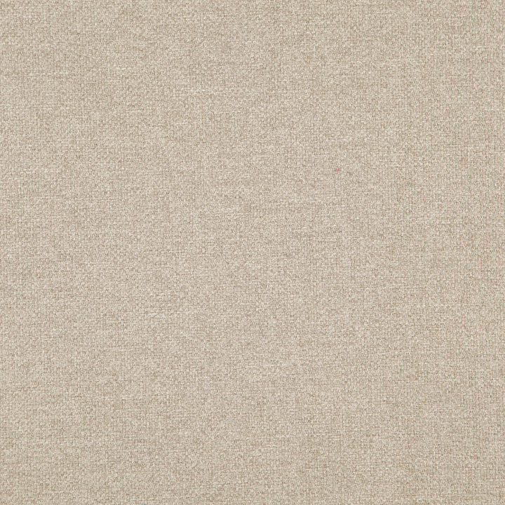 Carmen 36J8301 by JF Designer Fabric Everyday Crusader Fibreguard 85% Polyester, 15% Cotton China 100000 Horizontal: and Vertical: 57 - Swanky Fabrics -