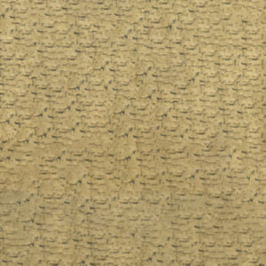 Carolina Coin 54 by Norbar Designer Fabric