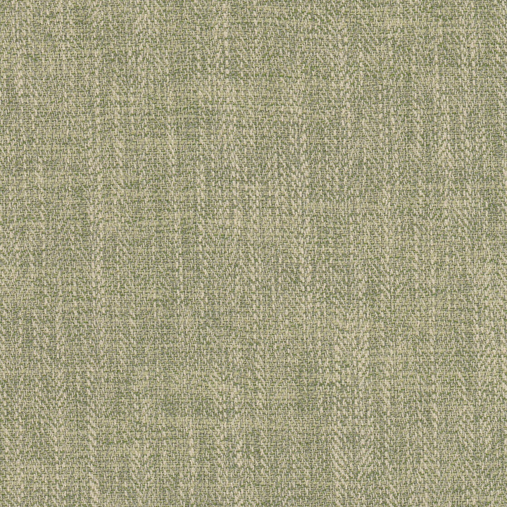 Carson 3 Dill by Stout Designer Fabric LIVING IS EASY ALOE/MINERAL 100%POL CHINA Horizontal: 0.000 and Vertical: 0.000 57 in - Swanky Fabrics -